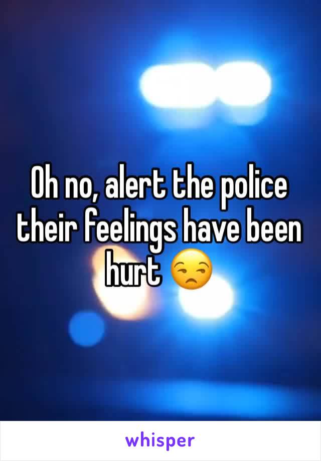 Oh no, alert the police their feelings have been hurt 😒