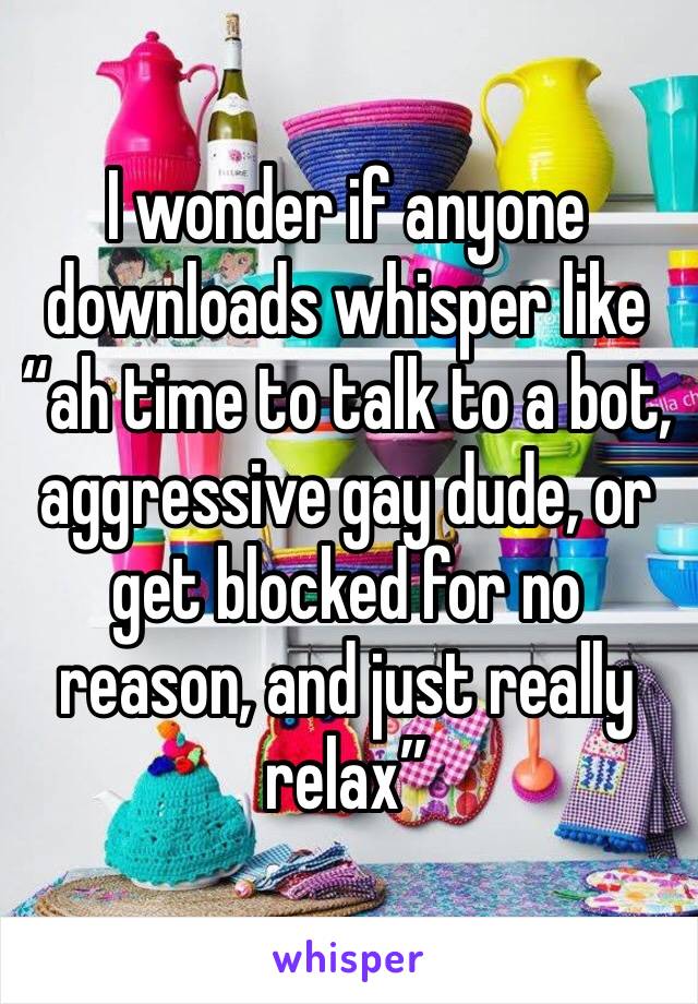 I wonder if anyone downloads whisper like “ah time to talk to a bot, aggressive gay dude, or get blocked for no reason, and just really relax”