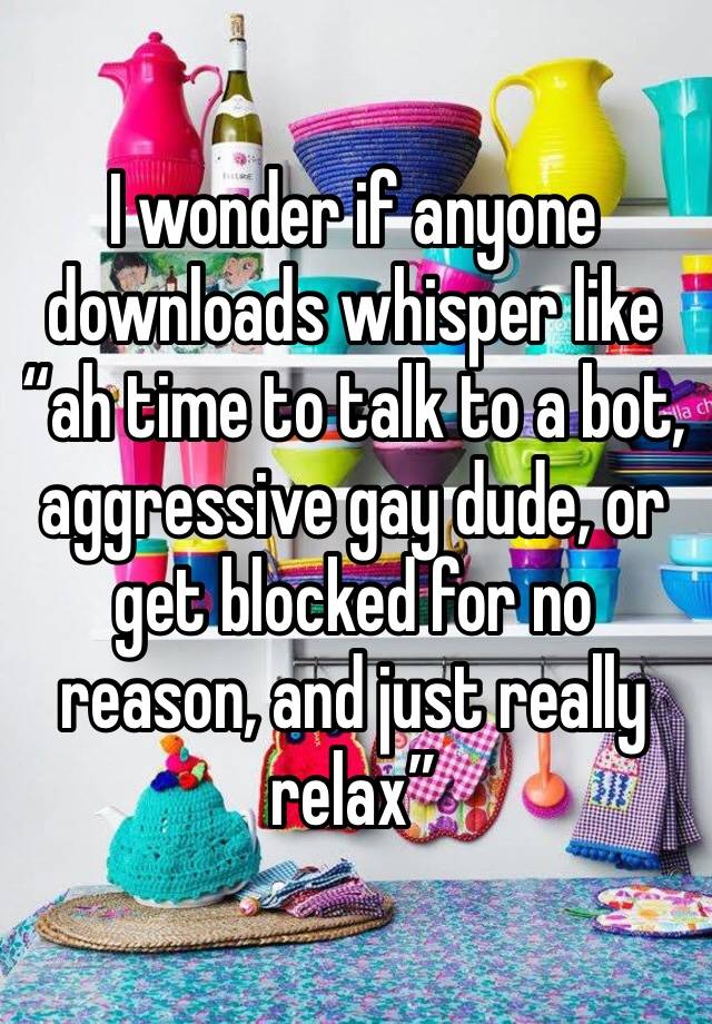 I wonder if anyone downloads whisper like “ah time to talk to a bot, aggressive gay dude, or get blocked for no reason, and just really relax”