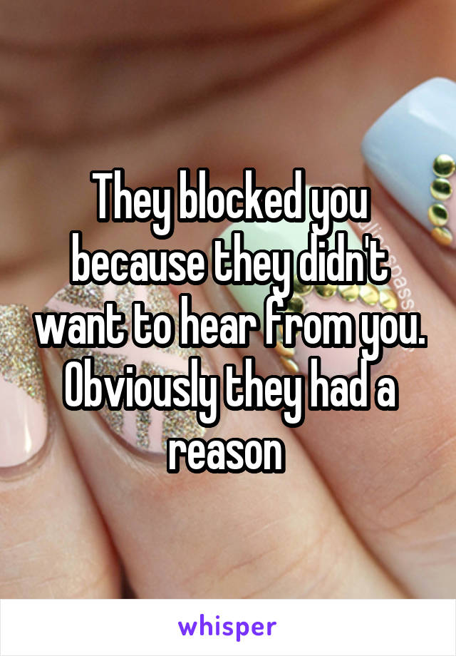 They blocked you because they didn't want to hear from you. Obviously they had a reason 