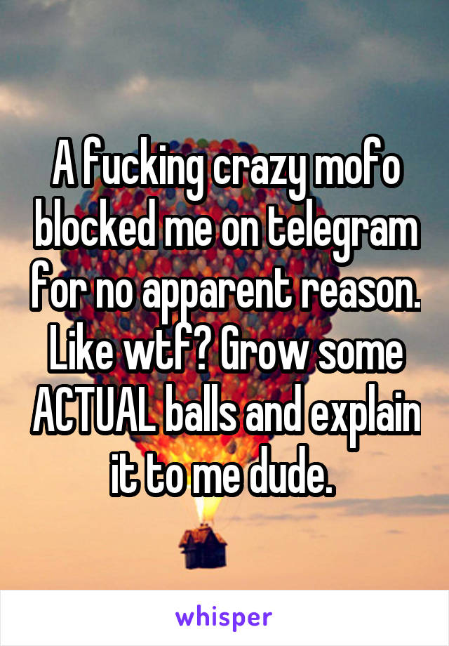 A fucking crazy mofo blocked me on telegram for no apparent reason. Like wtf? Grow some ACTUAL balls and explain it to me dude. 