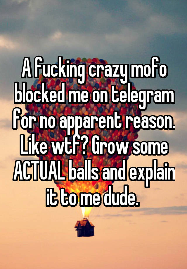 A fucking crazy mofo blocked me on telegram for no apparent reason. Like wtf? Grow some ACTUAL balls and explain it to me dude. 