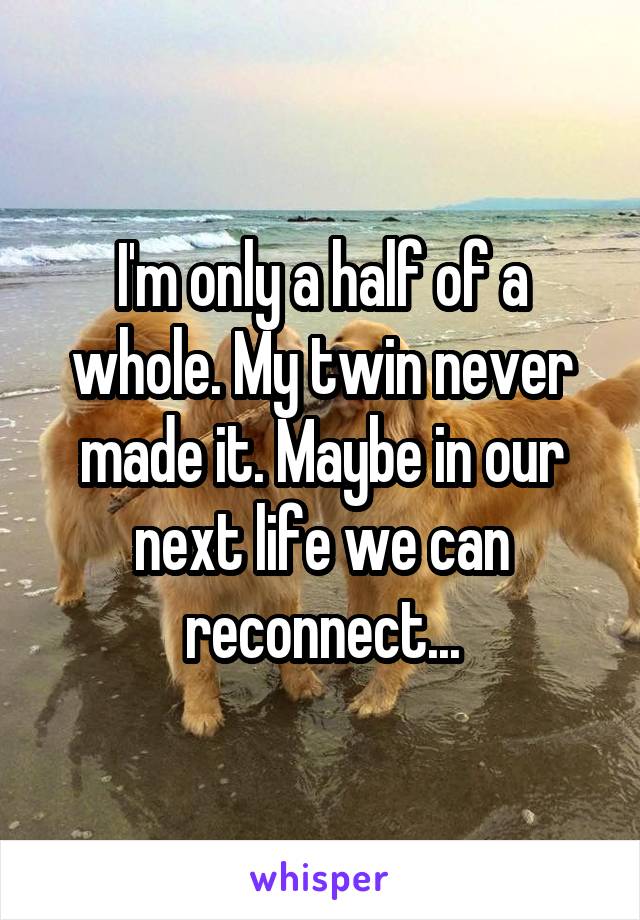 I'm only a half of a whole. My twin never made it. Maybe in our next life we can reconnect...