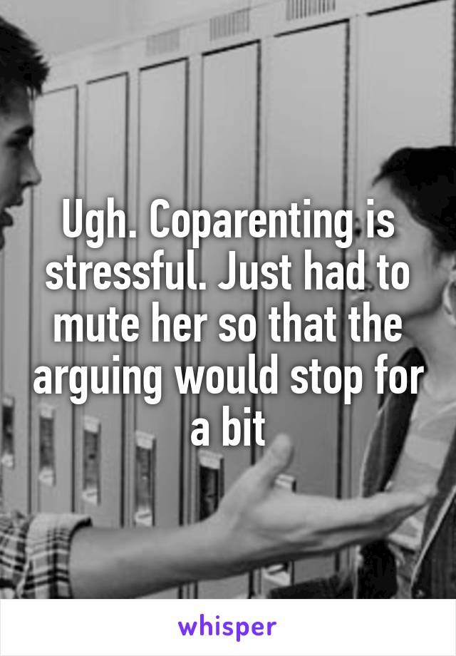 Ugh. Coparenting is stressful. Just had to mute her so that the arguing would stop for a bit