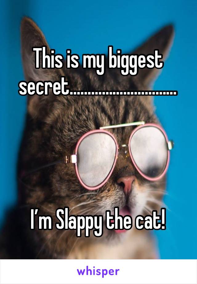 This is my biggest secret…………………………




I’m Slappy the cat!