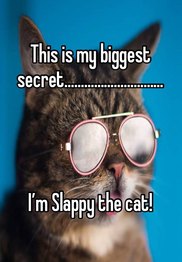 This is my biggest secret…………………………




I’m Slappy the cat!