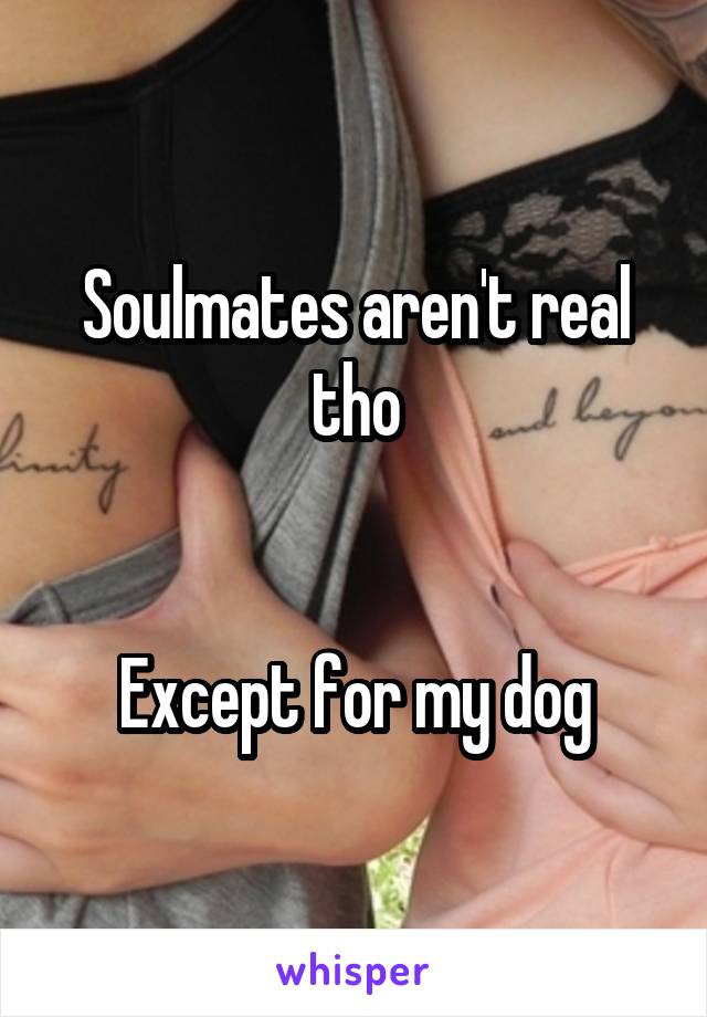 Soulmates aren't real tho


Except for my dog