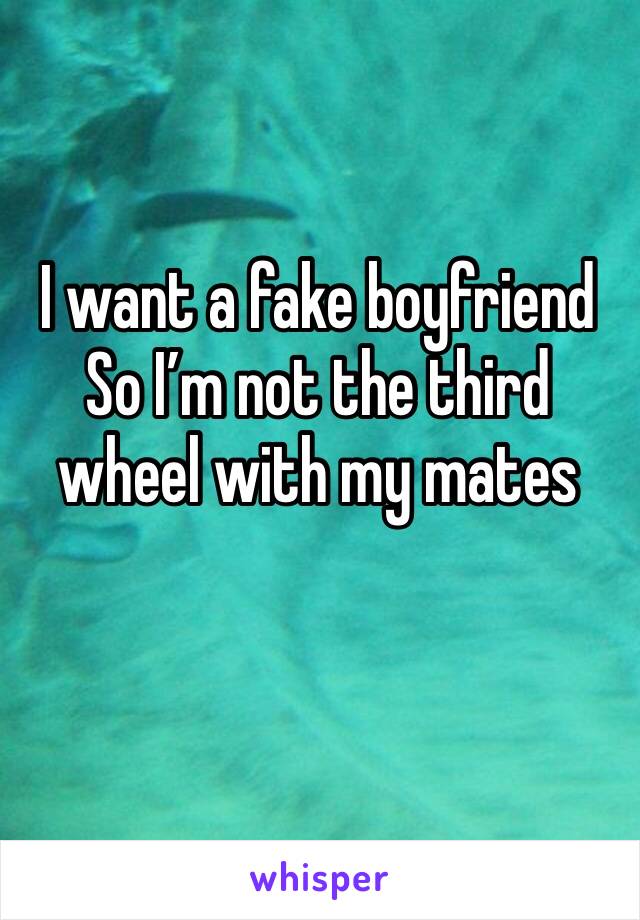 I want a fake boyfriend 
So I’m not the third wheel with my mates 