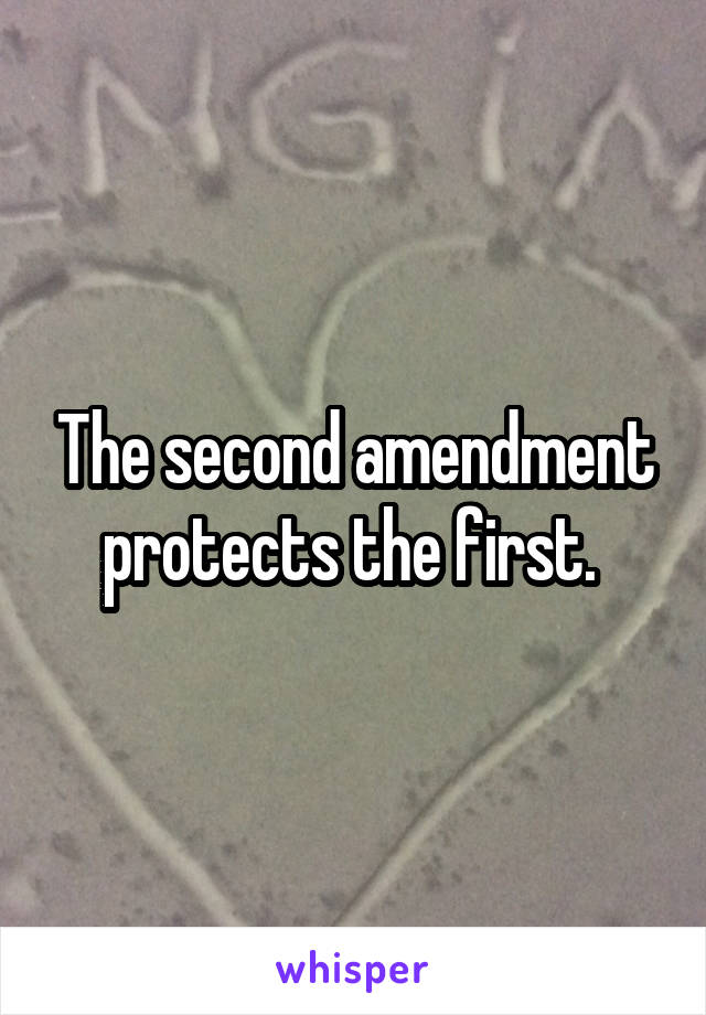 The second amendment protects the first. 