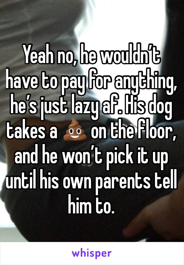 Yeah no, he wouldn’t have to pay for anything, he’s just lazy af. His dog takes a 💩 on the floor, and he won’t pick it up until his own parents tell him to.