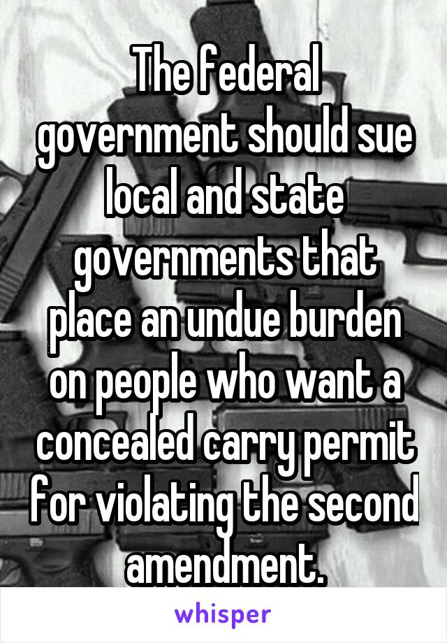 The federal government should sue local and state governments that place an undue burden on people who want a concealed carry permit for violating the second amendment.