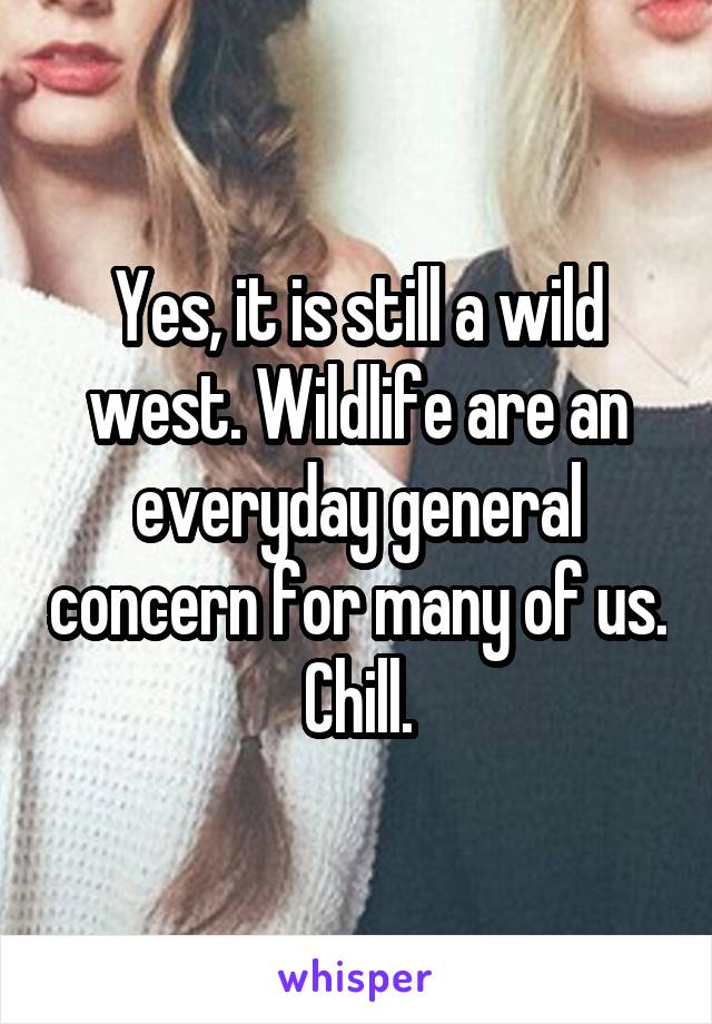 Yes, it is still a wild west. Wildlife are an everyday general concern for many of us. Chill.