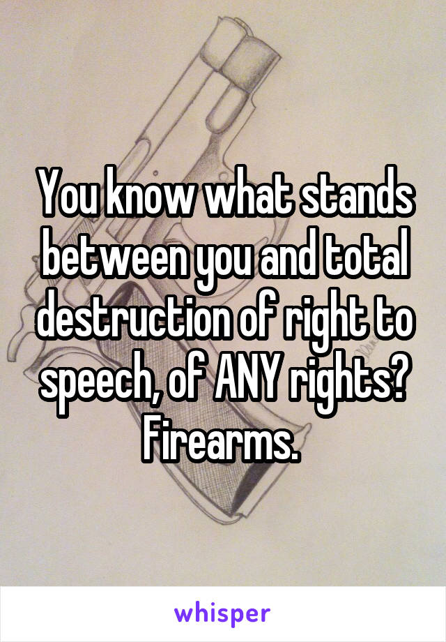 You know what stands between you and total destruction of right to speech, of ANY rights?
Firearms. 