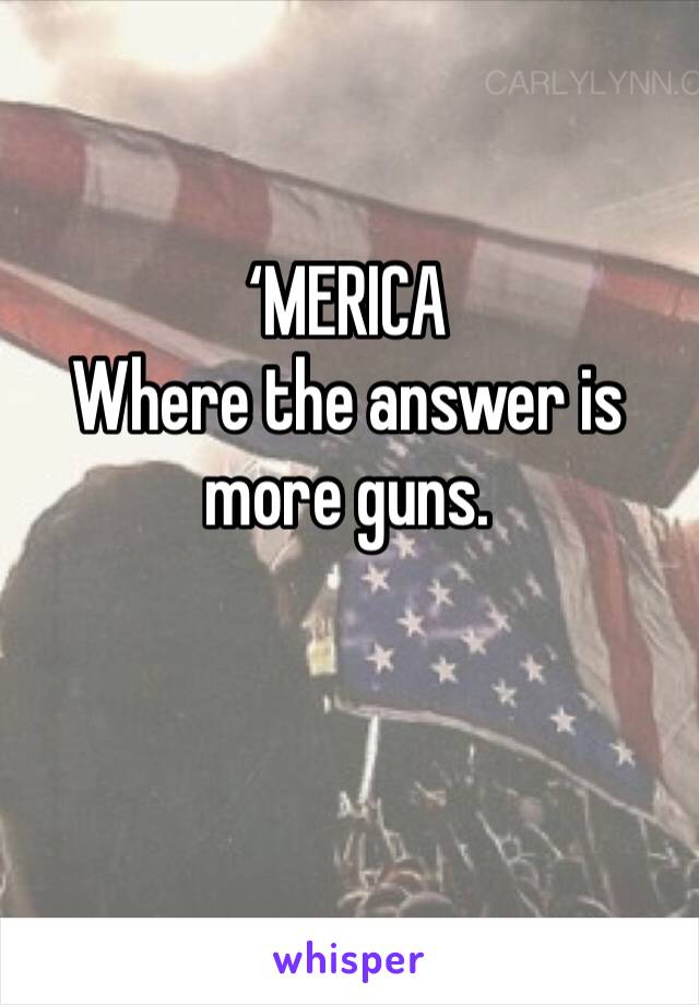 ‘MERICA
Where the answer is more guns. 

