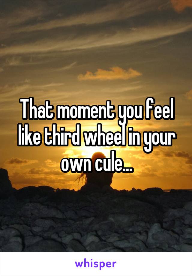 That moment you feel like third wheel in your own cule...