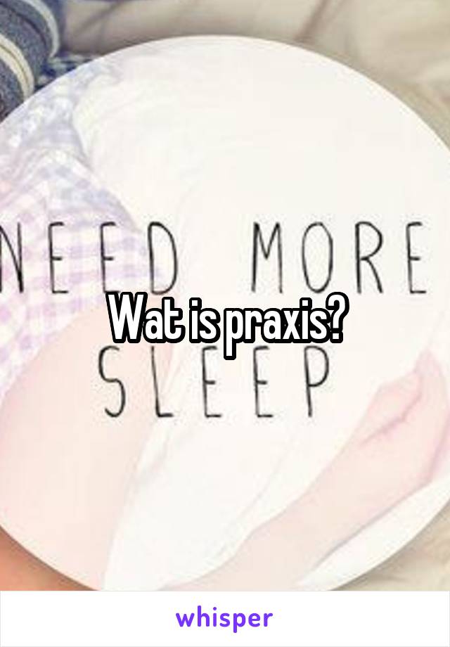 Wat is praxis?