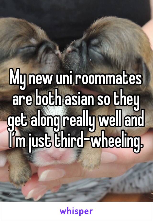 My new uni roommates are both asian so they get along really well and I’m just third-wheeling.