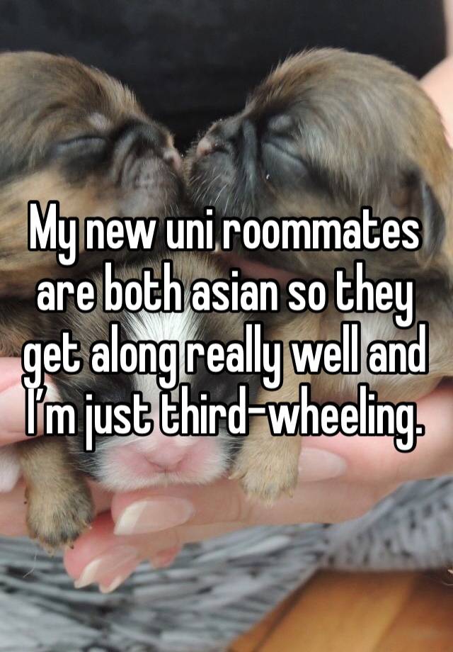 My new uni roommates are both asian so they get along really well and I’m just third-wheeling.