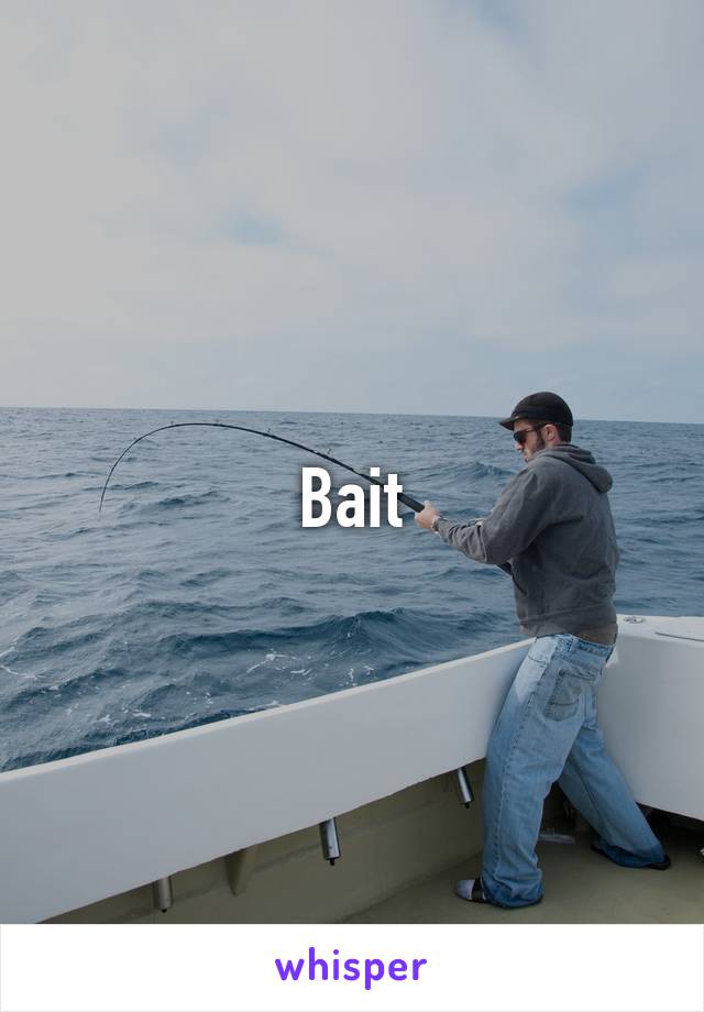 Bait