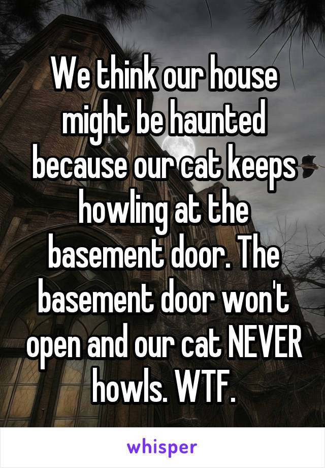 We think our house might be haunted because our cat keeps howling at the basement door. The basement door won't open and our cat NEVER howls. WTF.