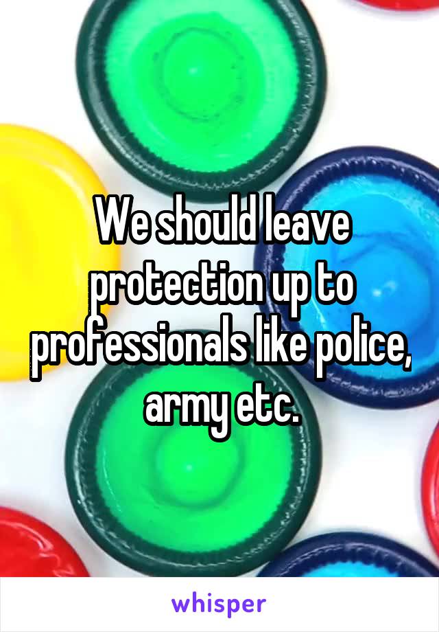 We should leave protection up to professionals like police, army etc.