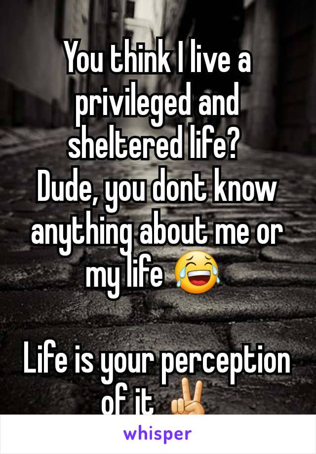 You think I live a privileged and sheltered life? 
Dude, you dont know anything about me or my life 😂 

Life is your perception of it ✌