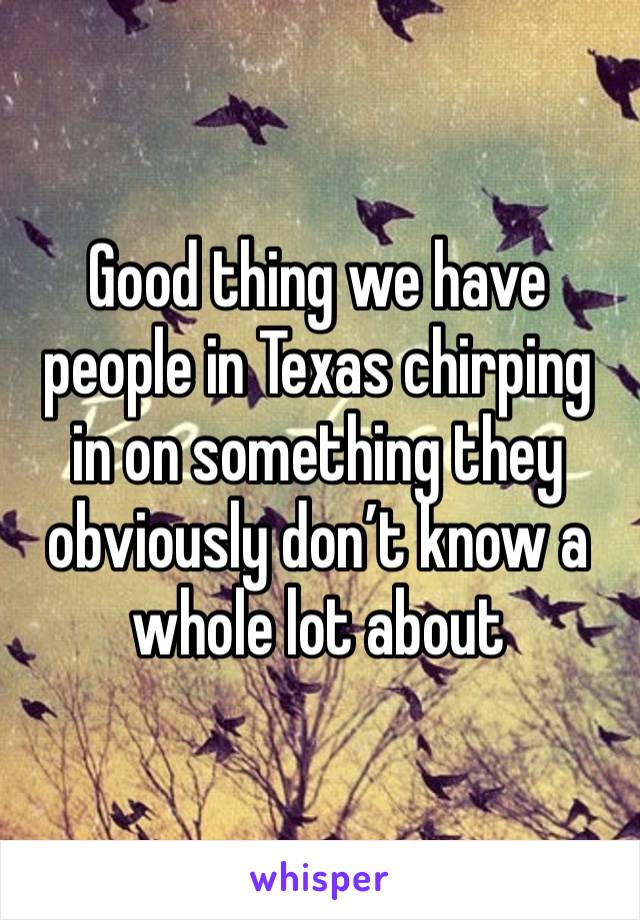 Good thing we have people in Texas chirping in on something they obviously don’t know a whole lot about