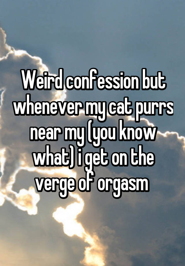 Weird confession but whenever my cat purrs near my (you know what) i get on the verge of orgasm 