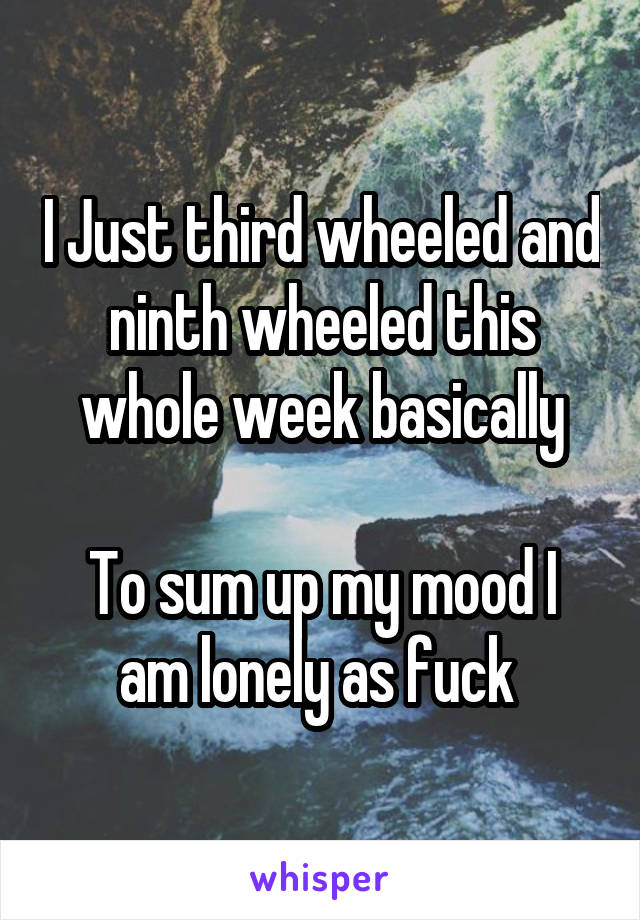 I Just third wheeled and ninth wheeled this whole week basically

To sum up my mood I am lonely as fuck 