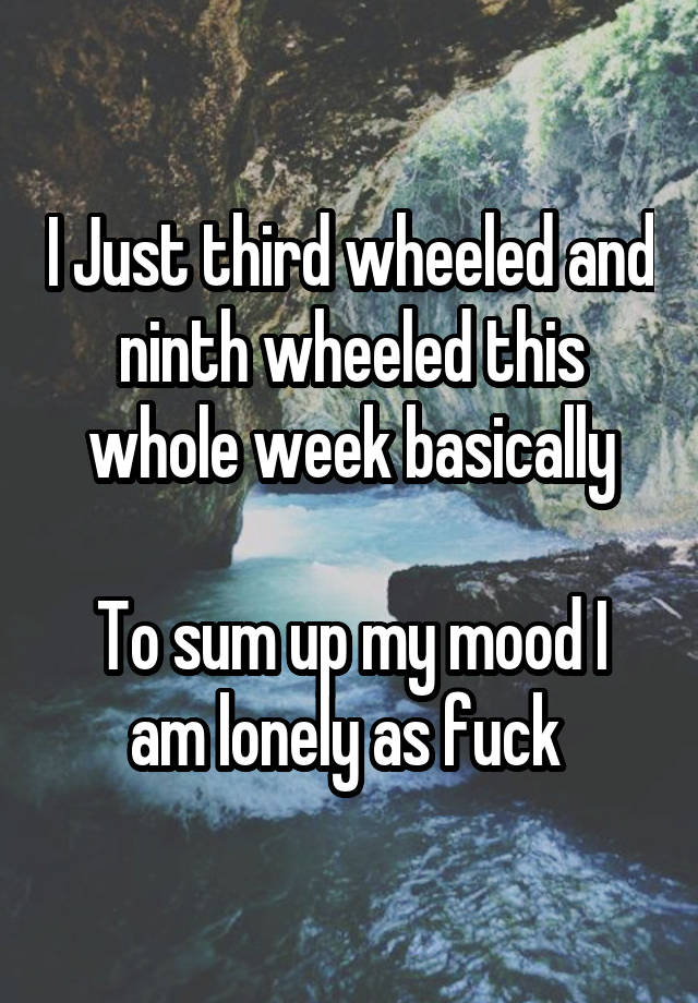 I Just third wheeled and ninth wheeled this whole week basically

To sum up my mood I am lonely as fuck 