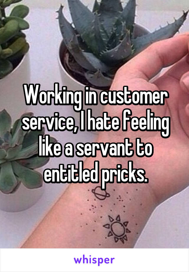 Working in customer service, I hate feeling like a servant to entitled pricks.