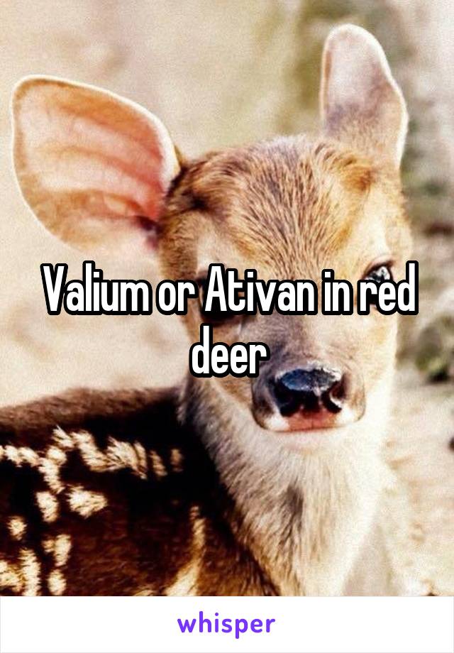 Valium or Ativan in red deer