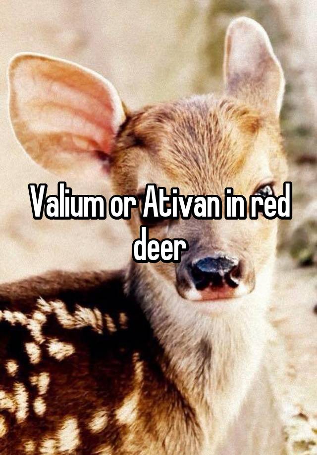 Valium or Ativan in red deer