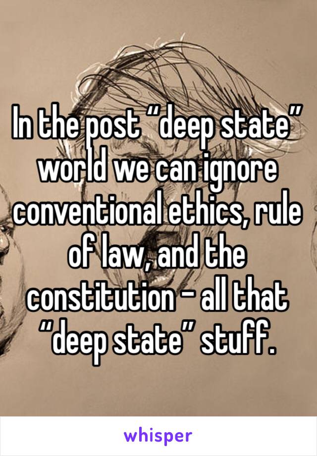 In the post “deep state” world we can ignore conventional ethics, rule of law, and the constitution - all that “deep state” stuff. 