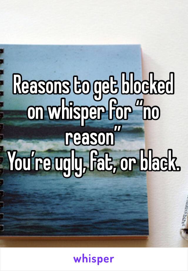 Reasons to get blocked on whisper for “no reason”
You’re ugly, fat, or black. 