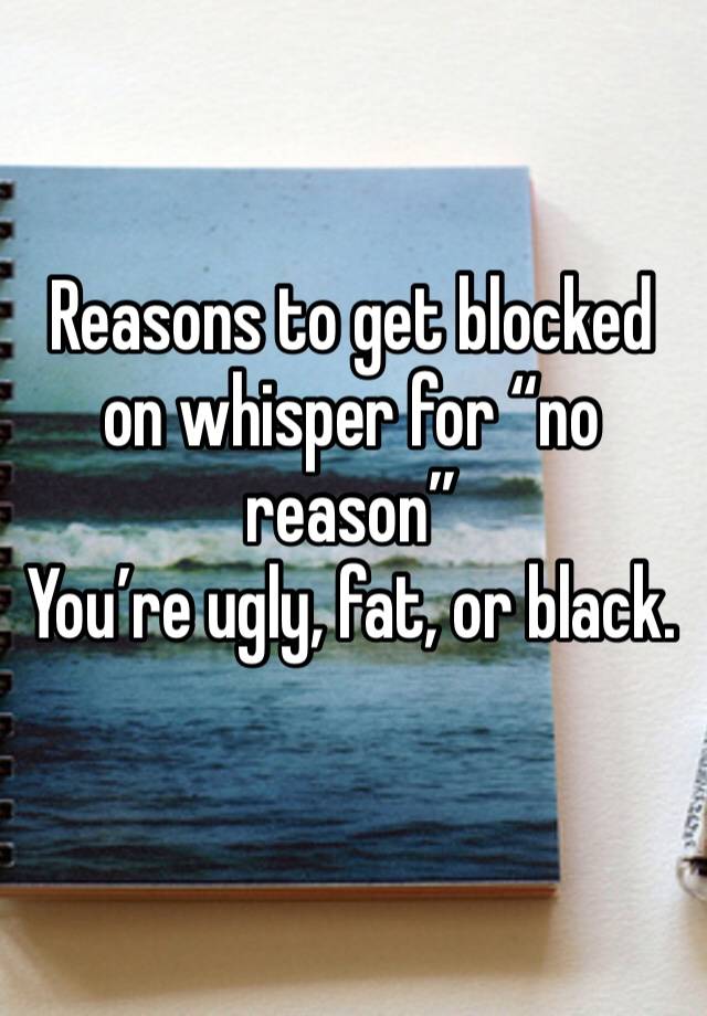 Reasons to get blocked on whisper for “no reason”
You’re ugly, fat, or black. 