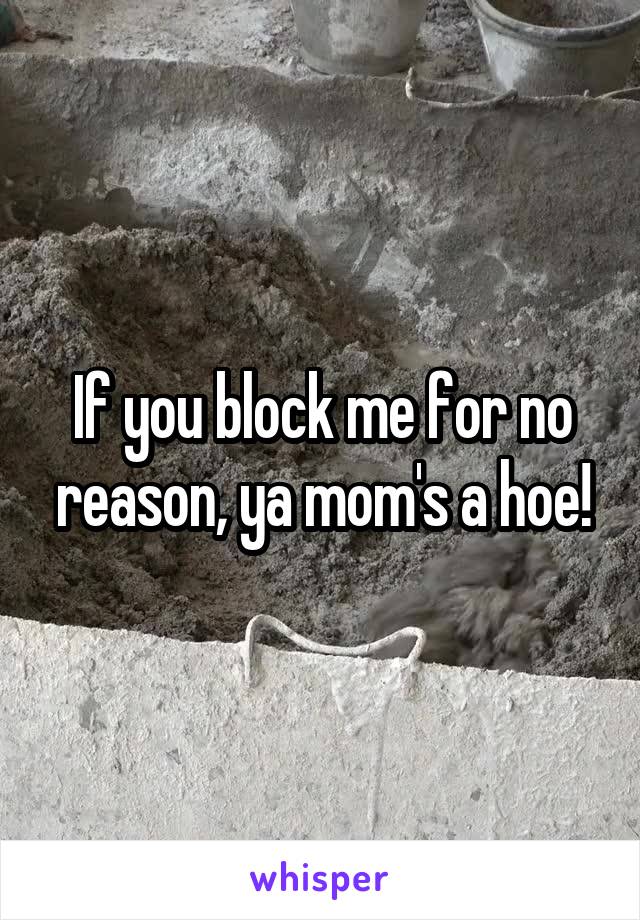 If you block me for no reason, ya mom's a hoe!