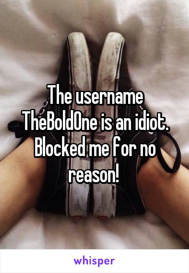 The username TheBoldOne is an idiot. Blocked me for no reason! 