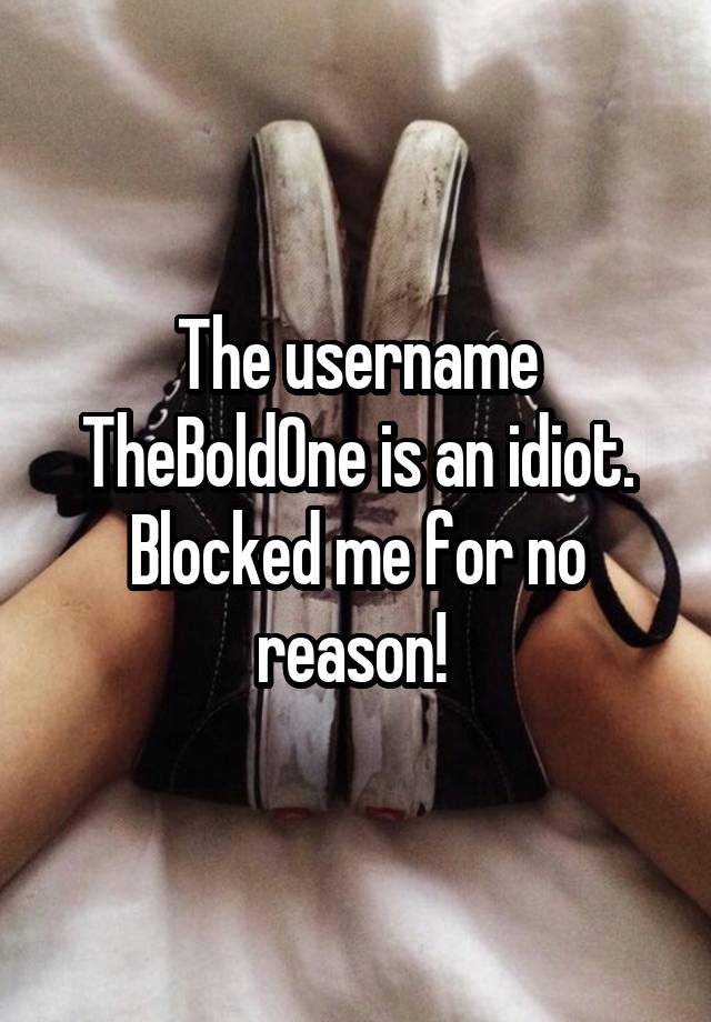 The username TheBoldOne is an idiot. Blocked me for no reason! 