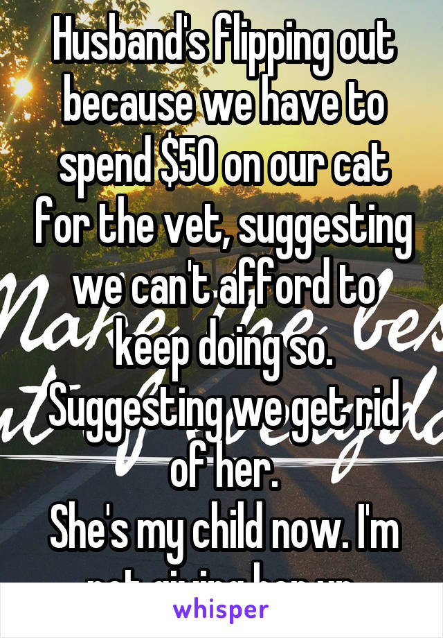 Husband's flipping out because we have to spend $50 on our cat for the vet, suggesting we can't afford to keep doing so. Suggesting we get rid of her.
She's my child now. I'm not giving her up.