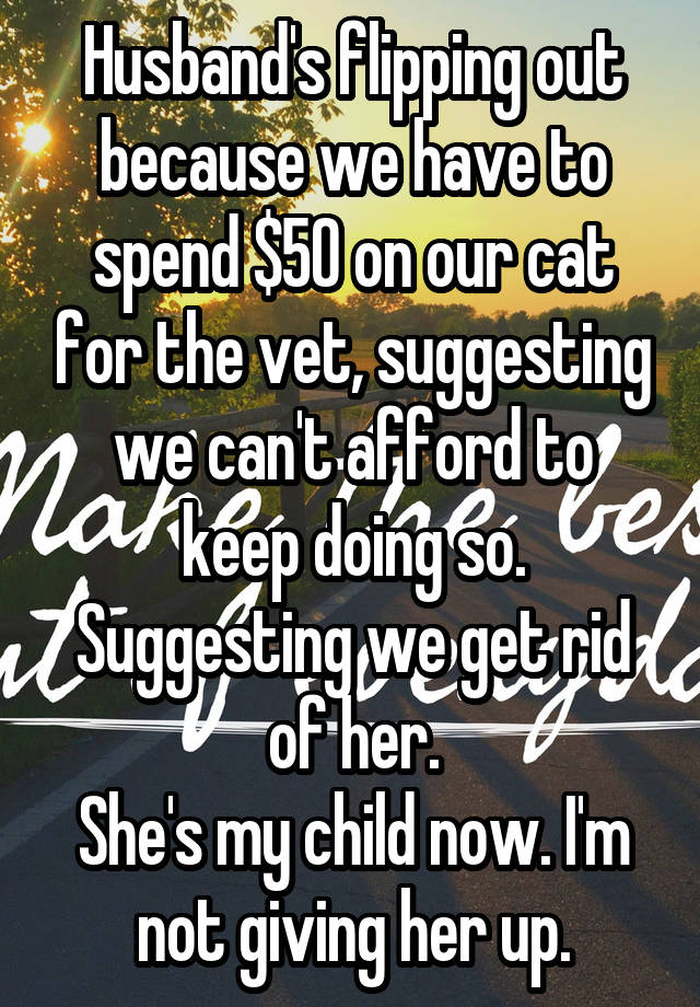 Husband's flipping out because we have to spend $50 on our cat for the vet, suggesting we can't afford to keep doing so. Suggesting we get rid of her.
She's my child now. I'm not giving her up.