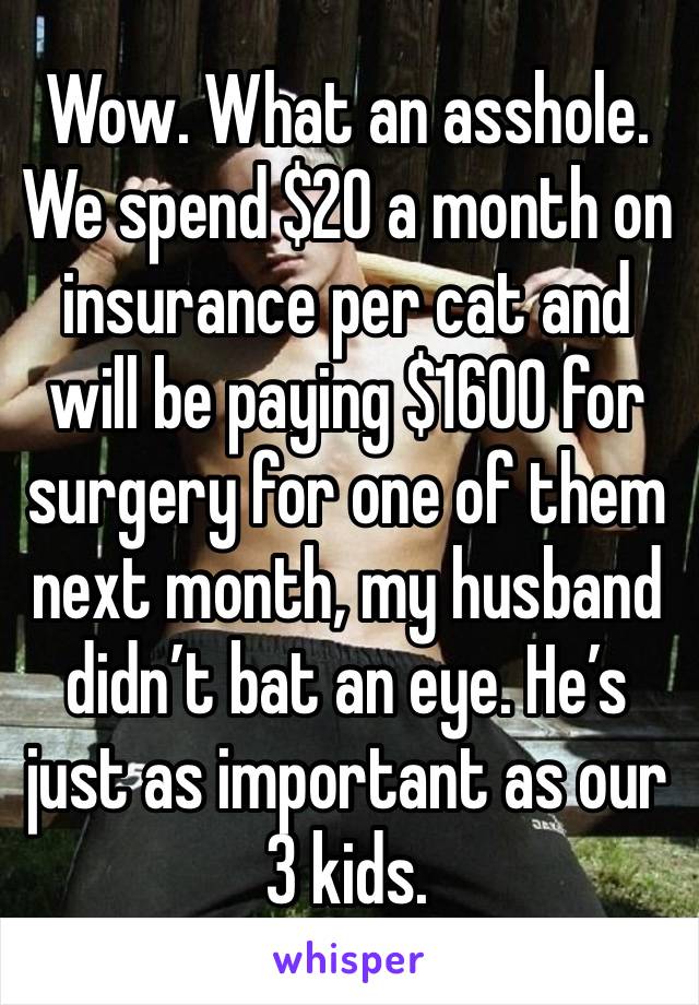 Wow. What an asshole. We spend $20 a month on insurance per cat and will be paying $1600 for surgery for one of them next month, my husband didn’t bat an eye. He’s just as important as our 3 kids. 