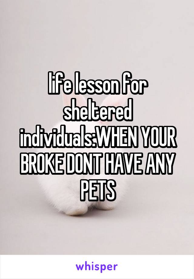 life lesson for sheltered individuals:WHEN YOUR BROKE DONT HAVE ANY PETS