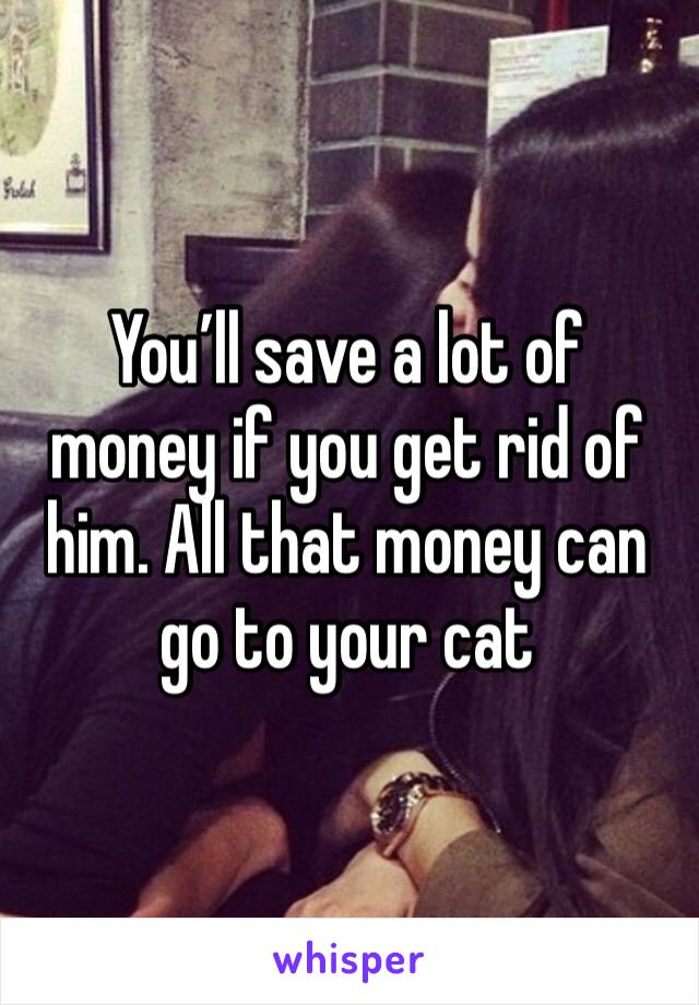 You’ll save a lot of money if you get rid of him. All that money can go to your cat