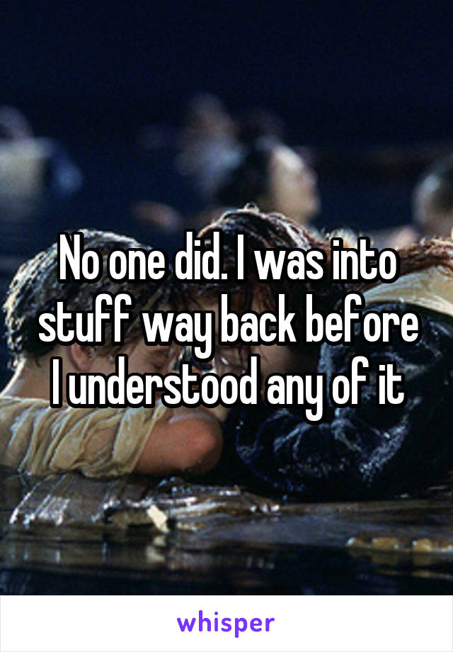 No one did. I was into stuff way back before I understood any of it