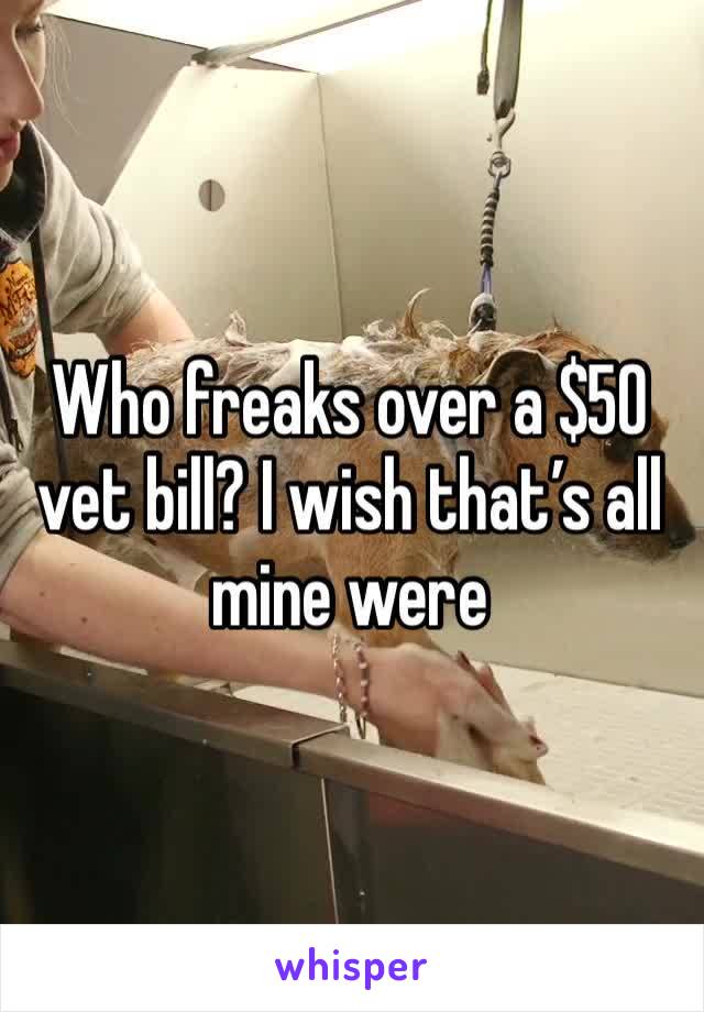 Who freaks over a $50 vet bill? I wish that’s all mine were