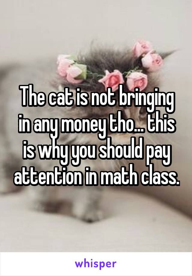 The cat is not bringing in any money tho... this is why you should pay attention in math class.