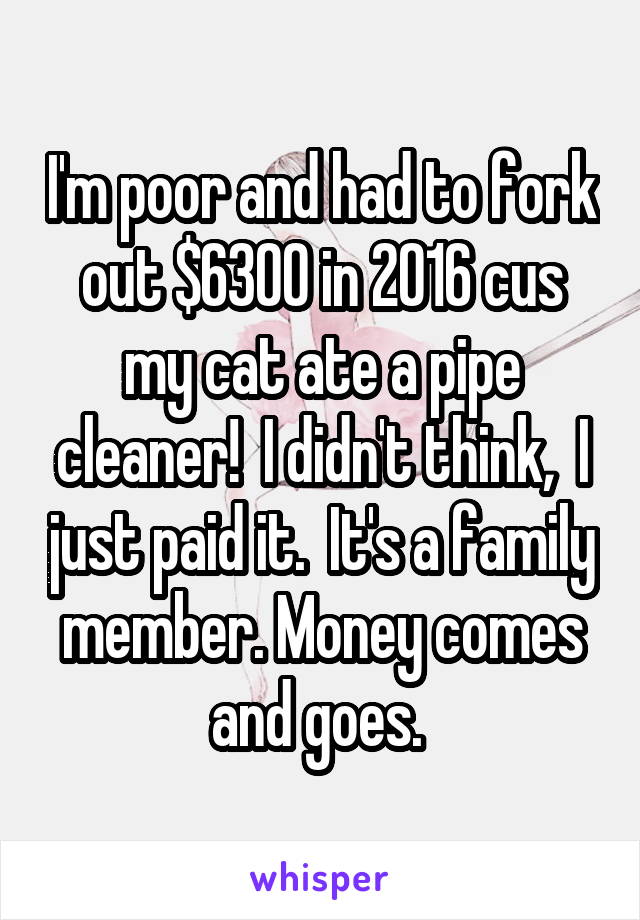 I'm poor and had to fork out $6300 in 2016 cus my cat ate a pipe cleaner!  I didn't think,  I just paid it.  It's a family member. Money comes and goes. 