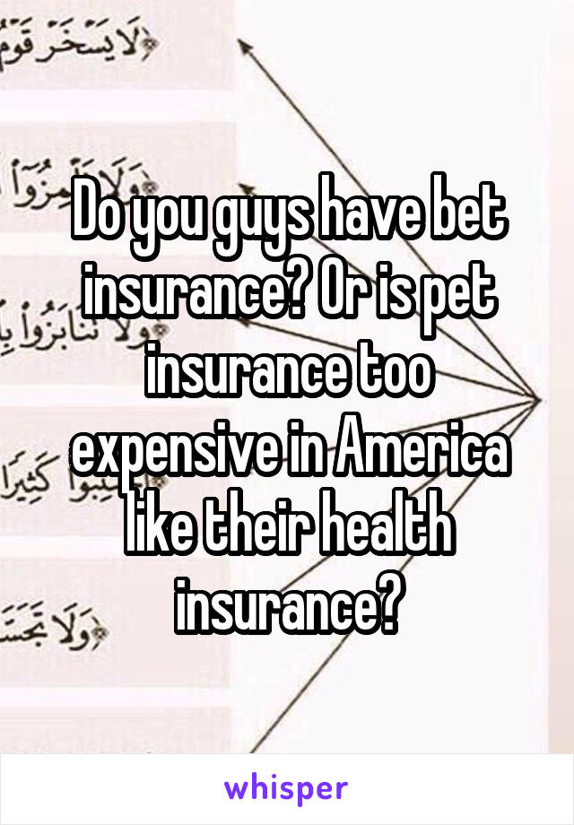 Do you guys have bet insurance? Or is pet insurance too expensive in America like their health insurance?