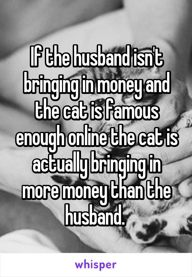 If the husband isn't bringing in money and the cat is famous enough online the cat is actually bringing in more money than the husband. 